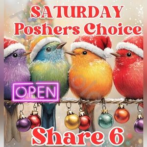 SATURDAY OPEN 🎄 POSHERS CHOICE 🎄 SHARE 6